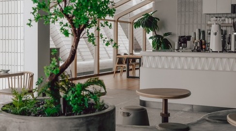 牧羊少年與他的浮萍